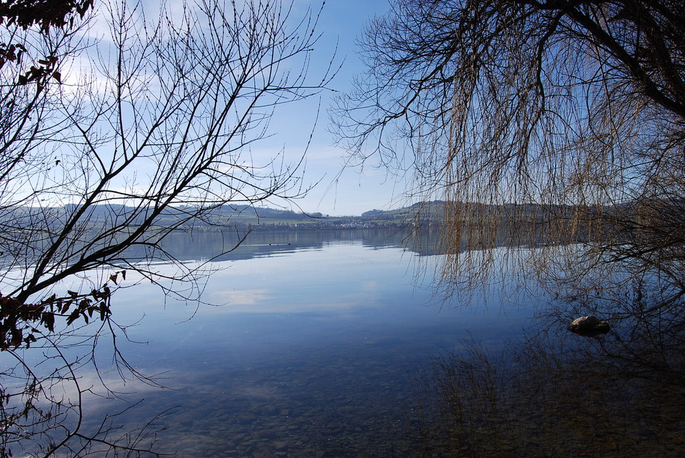 Sempachersee Januar 2008