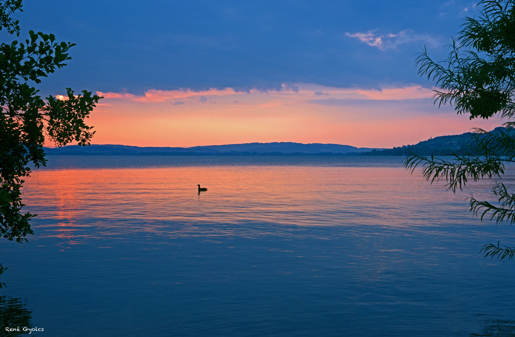 Sempachersee Luzern Schweiz