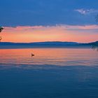 Sempachersee Luzern Schweiz