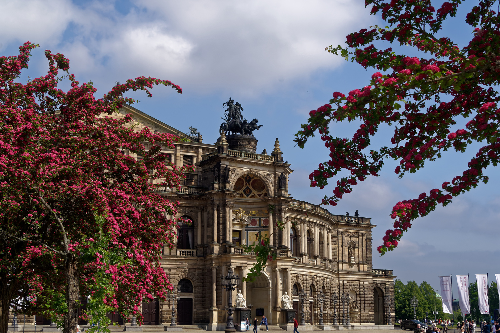 Semperoper zwischen blühenden Rotdornzweigen