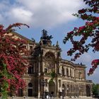 Semperoper zwischen blühenden Rotdornzweigen