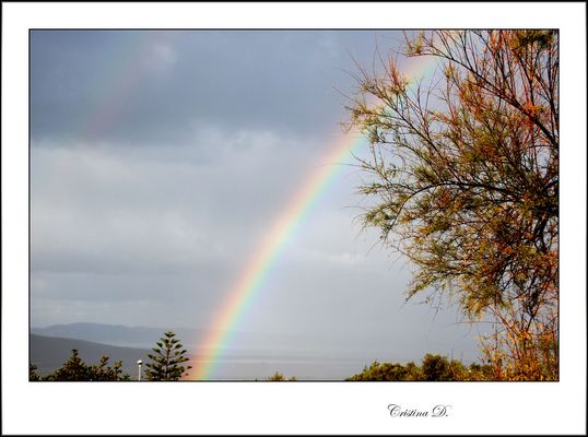 Semplicemente bello!!