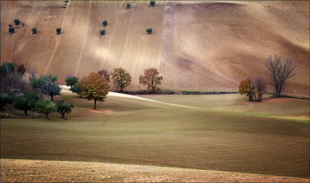 Sempre Marche