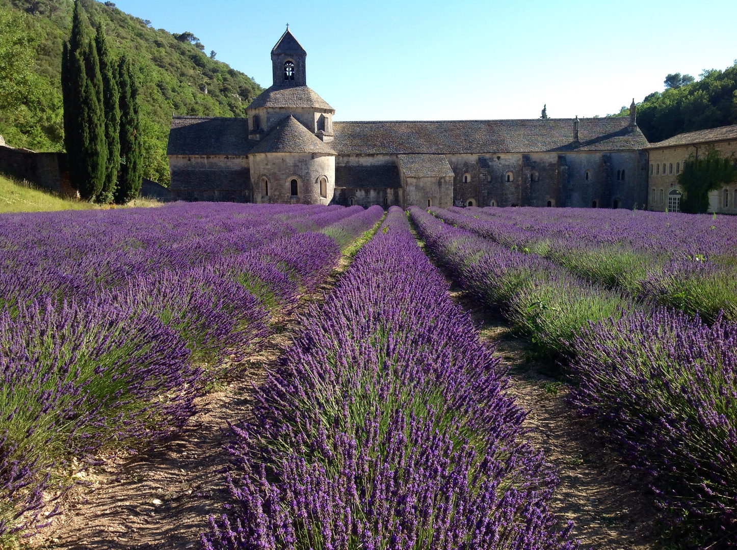 Senanque