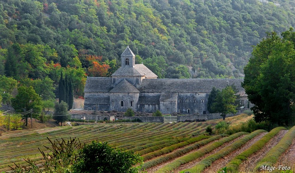 Sénanque - Herbst 2007