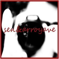 senarroyave