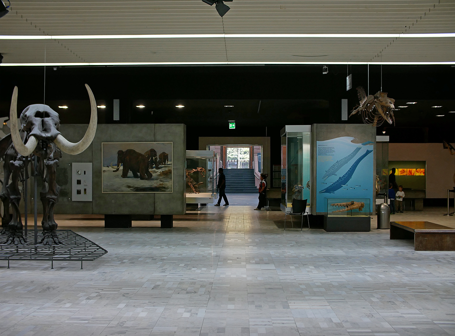 Senckenberg Museum Frankfurt innen