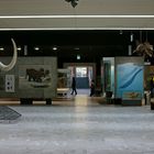 Senckenberg Museum Frankfurt innen