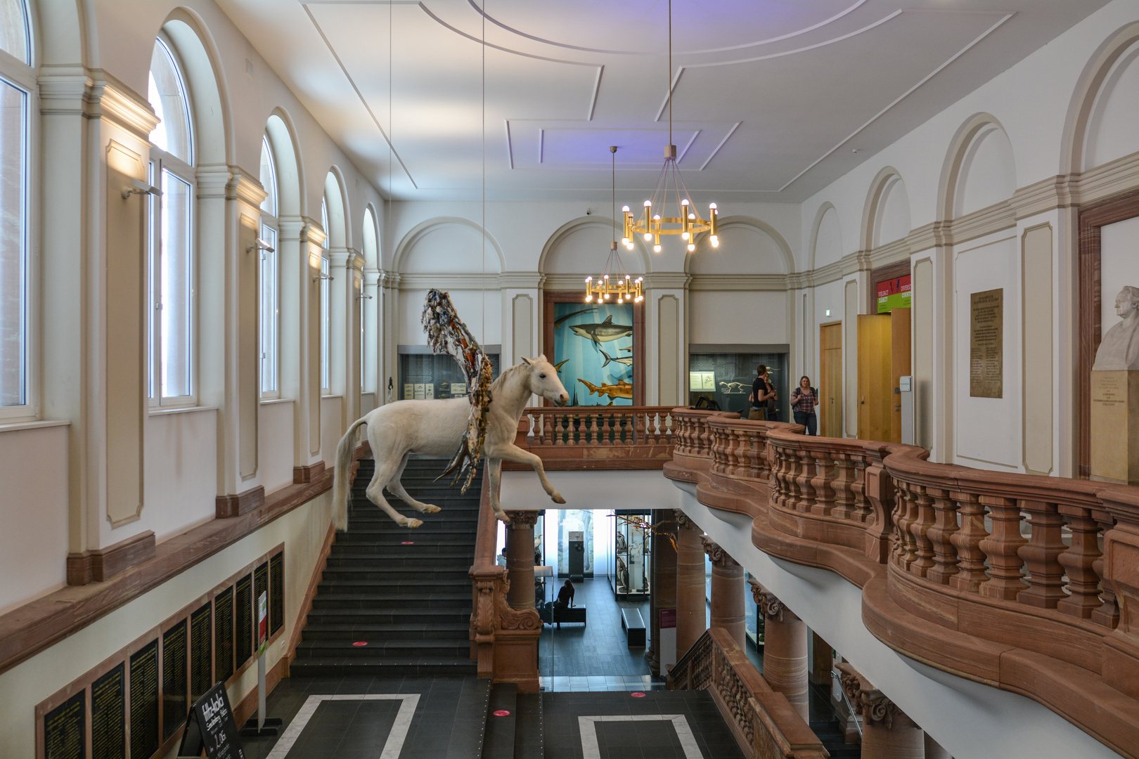 Senckenberg-Museum - Pegasus im großen Treppenhaus