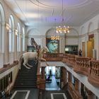 Senckenberg-Museum - Pegasus im großen Treppenhaus