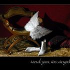 send you an angel ...