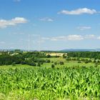 Sendeanlage Wachenbrunn, Dolmar