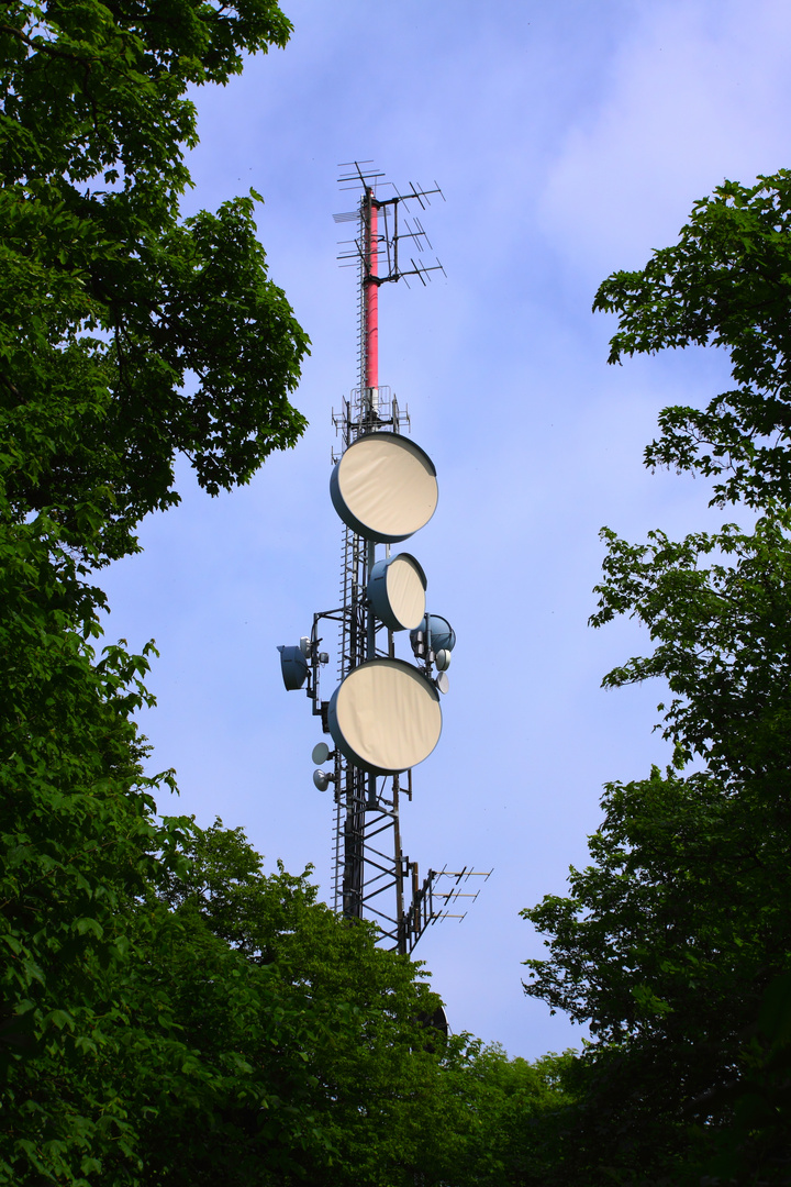 Sendemast im Wald