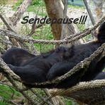 sendepause!!!!