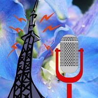 Sender RRBB Romantik-Radio Blaue Blume