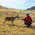 Senderismo por Gredos - Morezón Y Cabeza Nevada