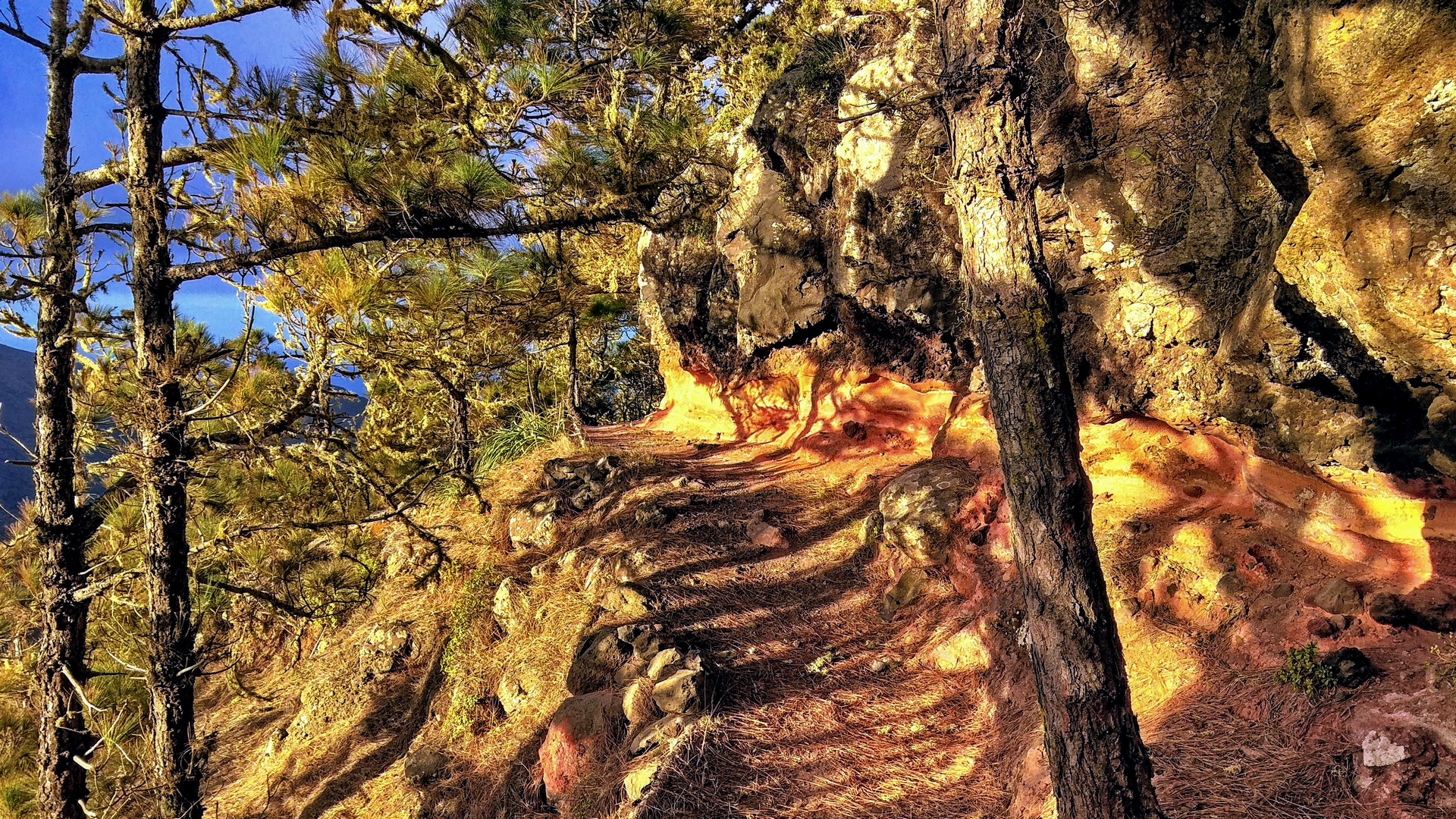 Sendero Cuevas Blancas - La Gomera