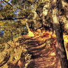 Sendero Cuevas Blancas - La Gomera