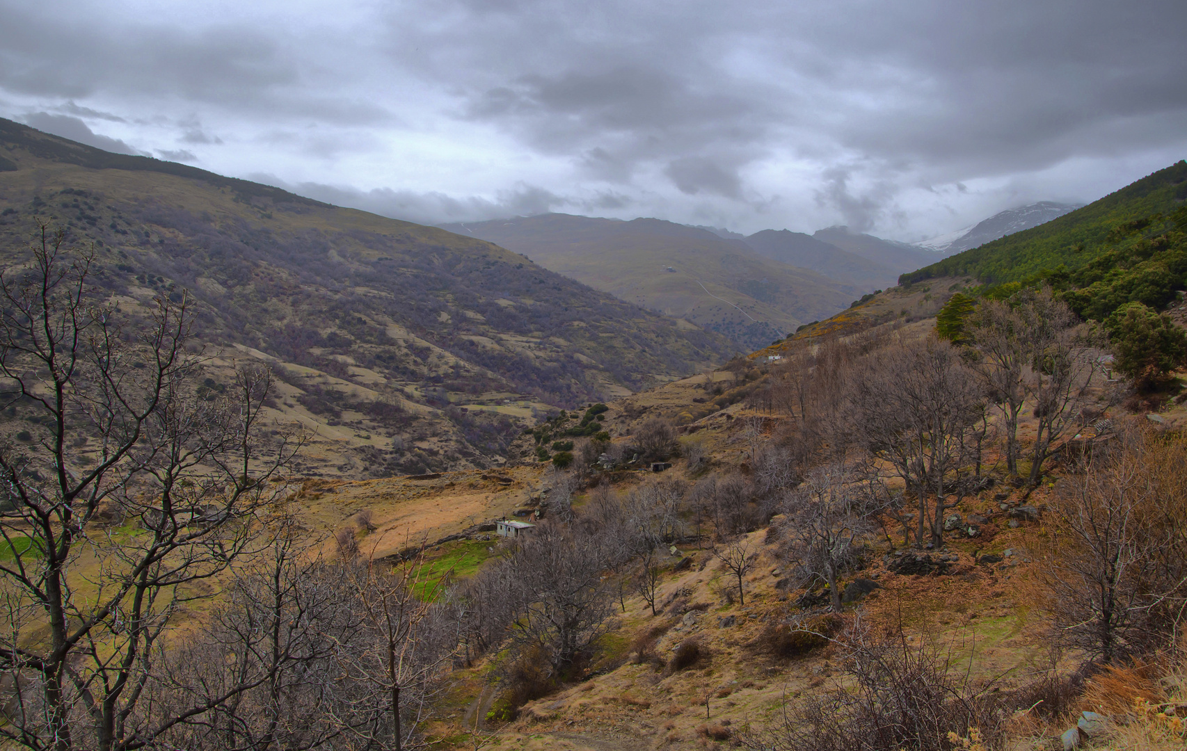 SENDERO DE LA CEBADILLA