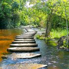 Sendero de las Aguas