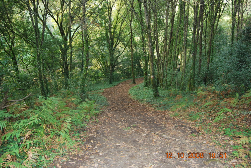 sendero de paz