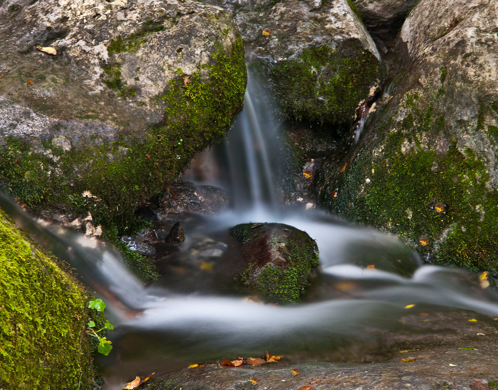 Senderos de Agua II