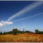 Sendeturm auf der Hornisgrinde