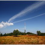 Sendeturm auf der Hornisgrinde