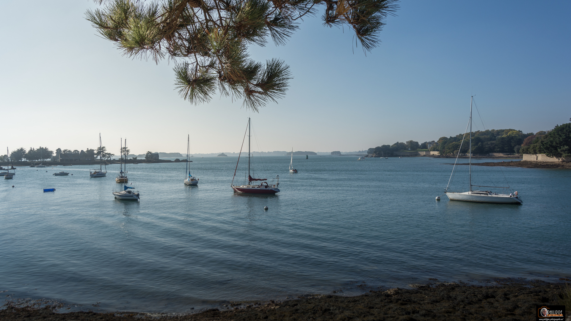 Séné - Golfe du Morbihan 