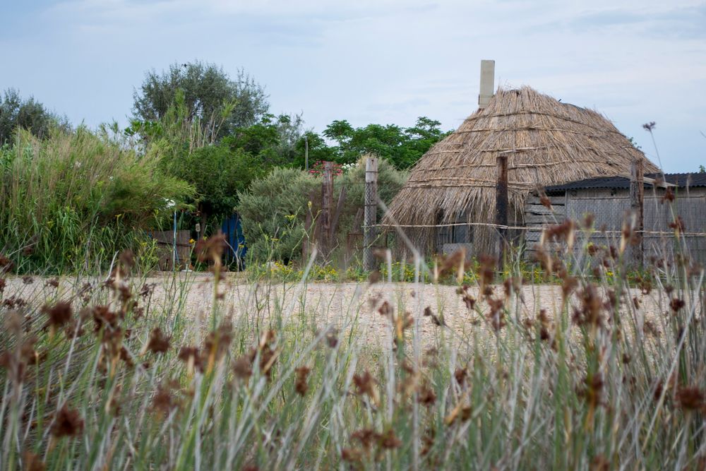 Sénégal at Barcarès