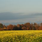 "Senf trifft Herbst"