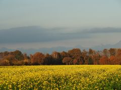 "Senf trifft Herbst"