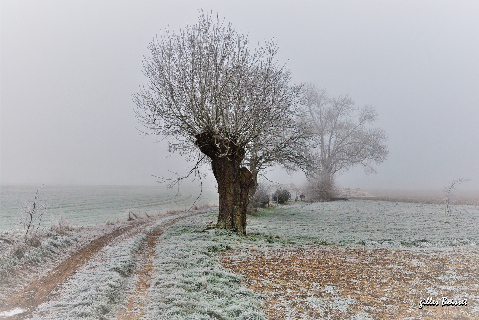 s'enfoncer dans l'hiver 