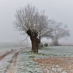 s'enfoncer dans l'hiver 