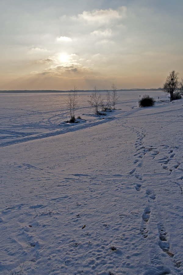 Senftenberger See 2