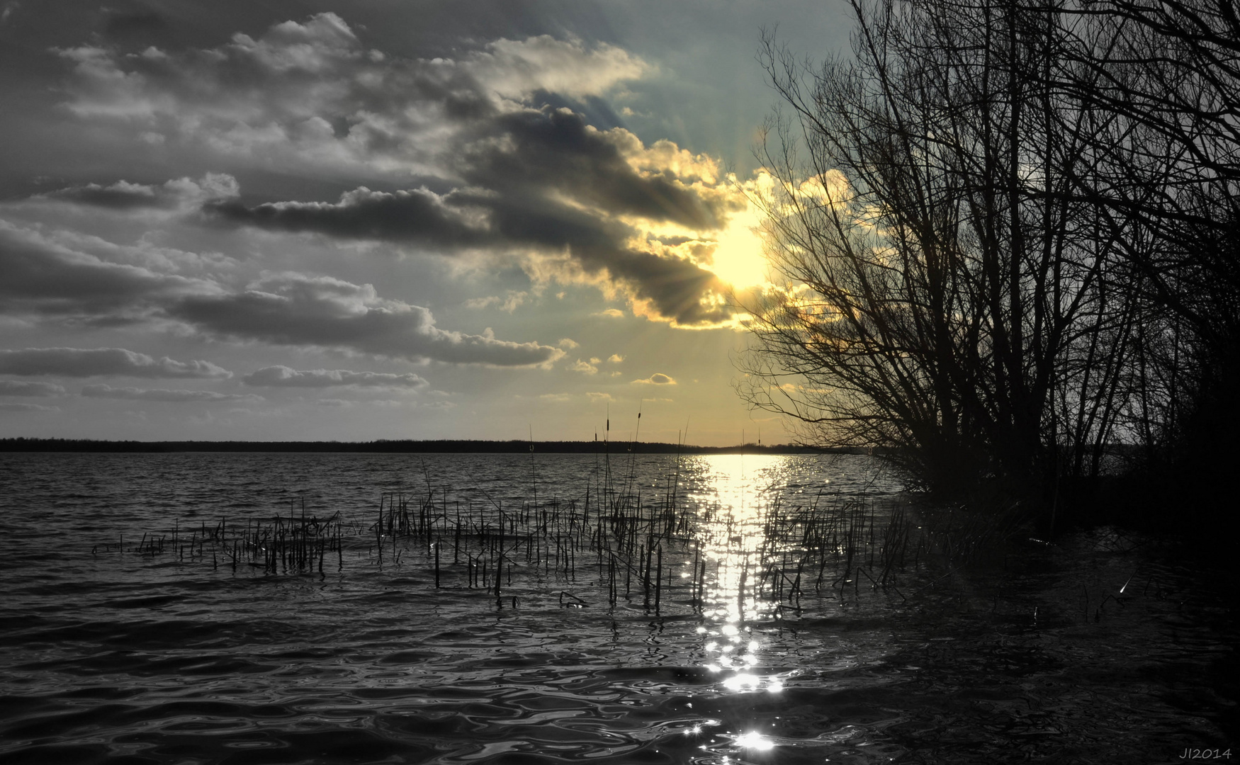 Senftenberger See im Februar 2014