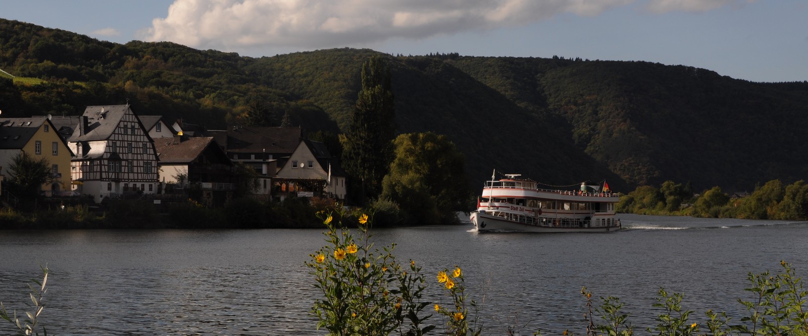 Senhals an der Mosel