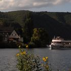 Senhals an der Mosel