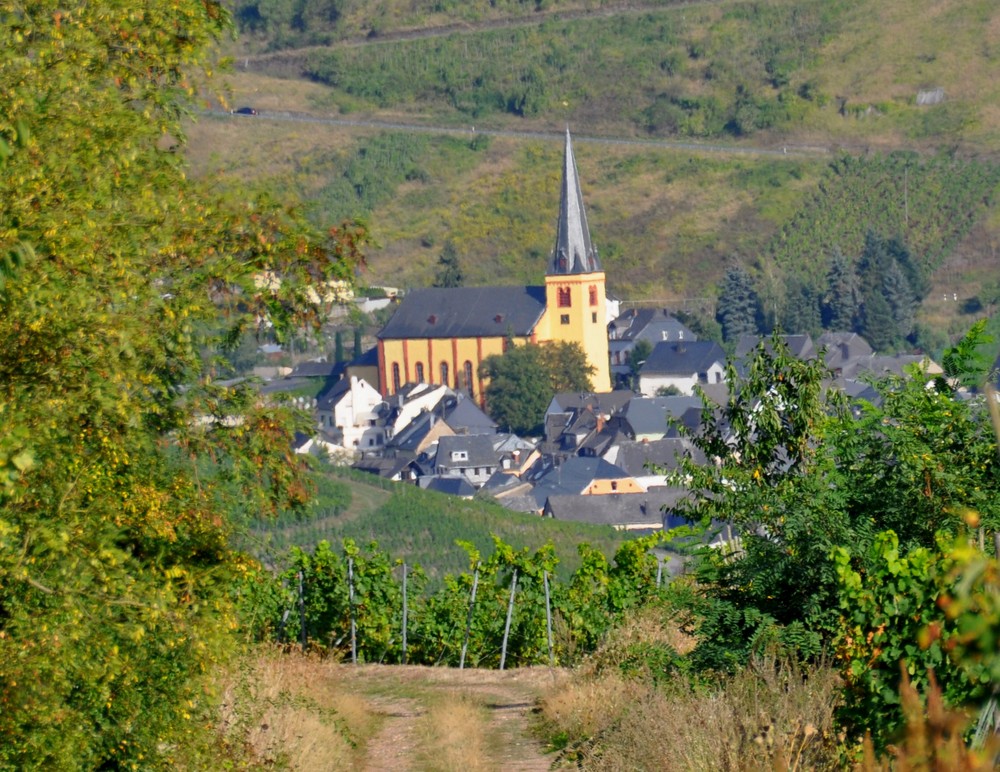 Senheim