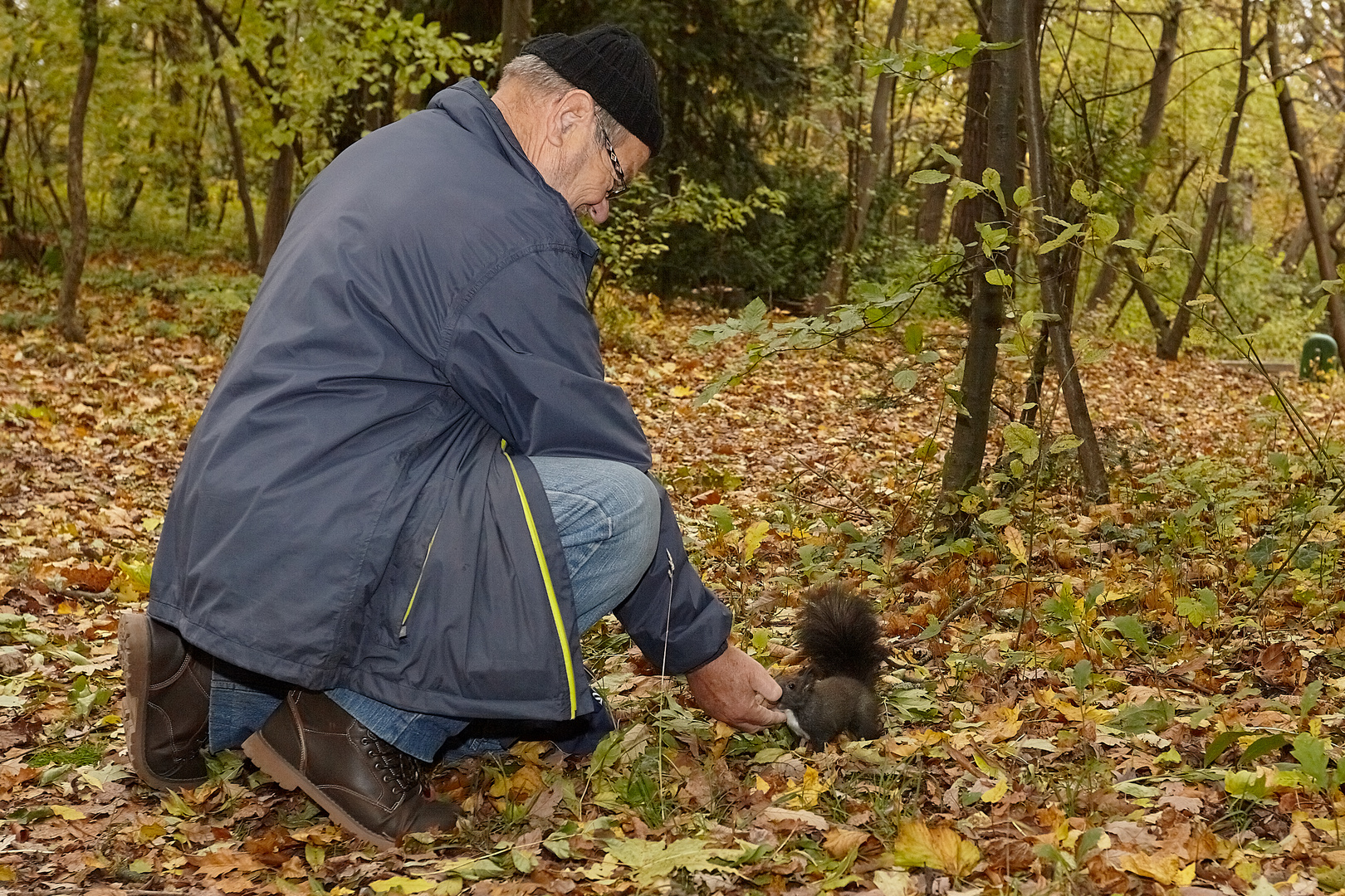 Senior beim füttern