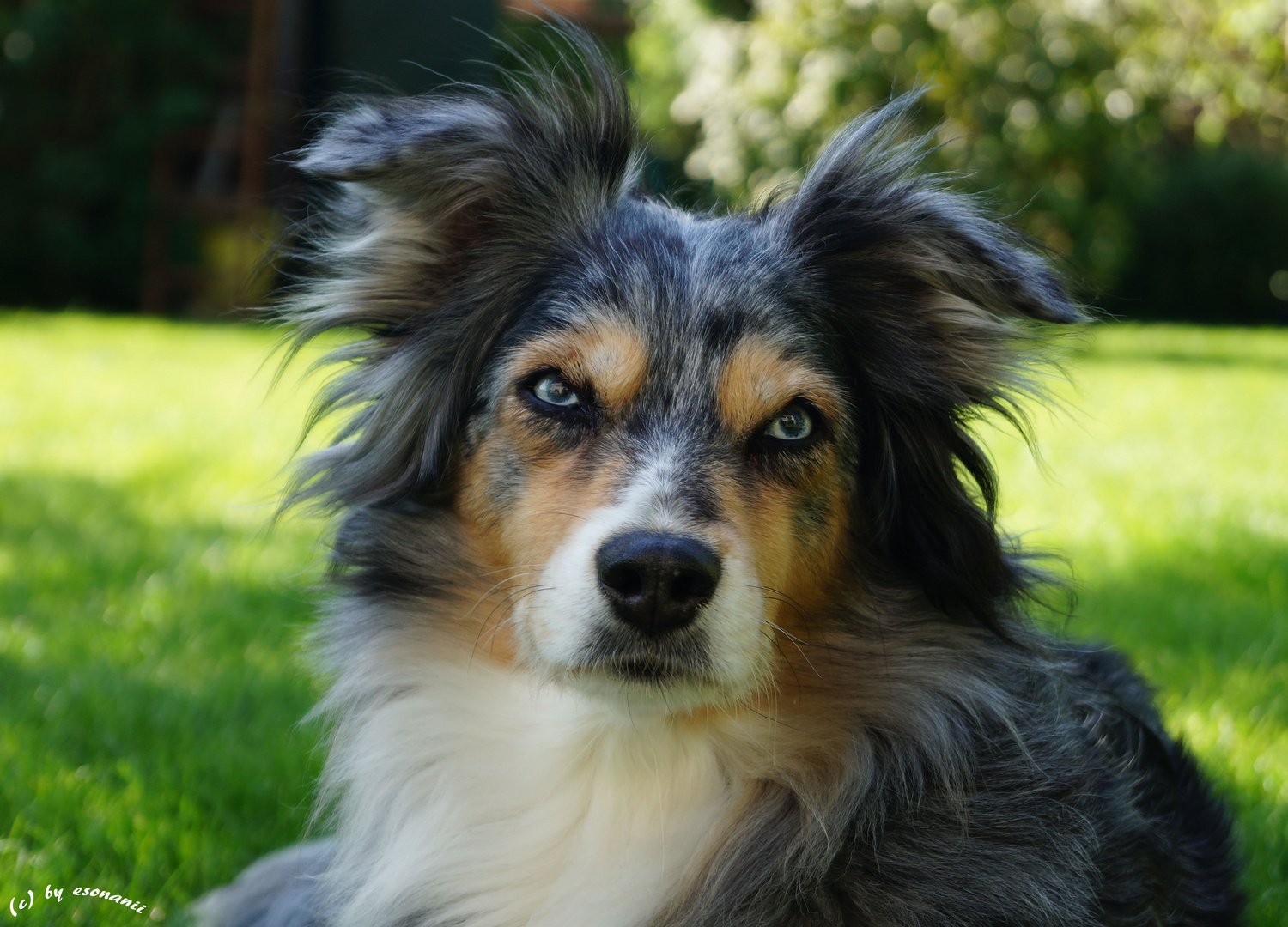 Seniorinnen Portrait II