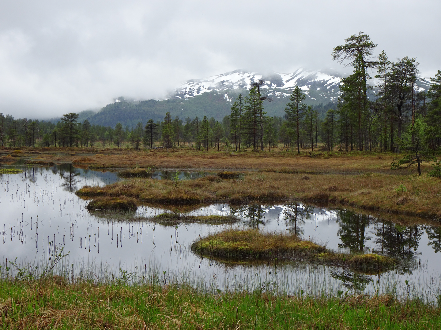 Senja -Anderdalen Nationalpark