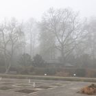 Senkgarten mit Nebel