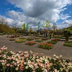 Senkgarten mit Tulpen und Wolken