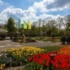 Senkgarten zur Tulpenblüte