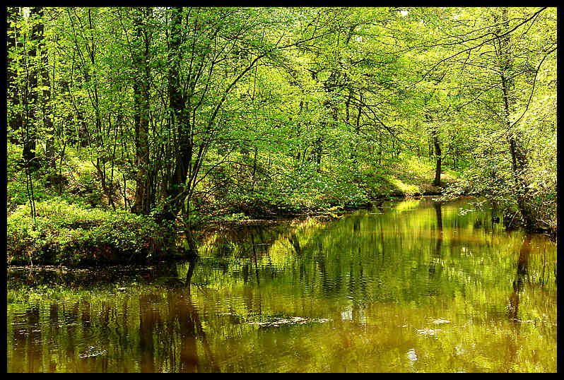 Senne 2 Foto & Bild deutschland, europe, nordrhein westfalen Bilder