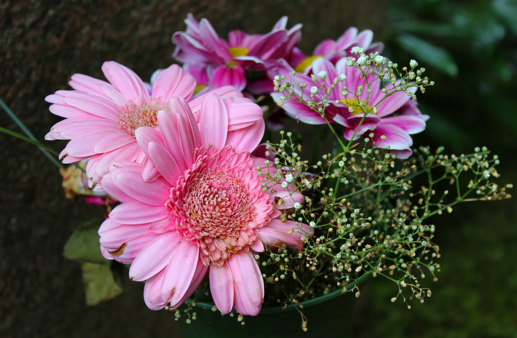 Sennefriedhof Bielefeld - Blumen