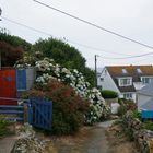 Sennen Cove, Cornwall - 2013