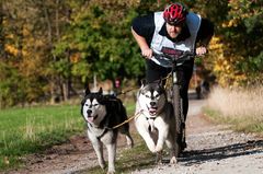 Senner Schlittenhunderennen 2