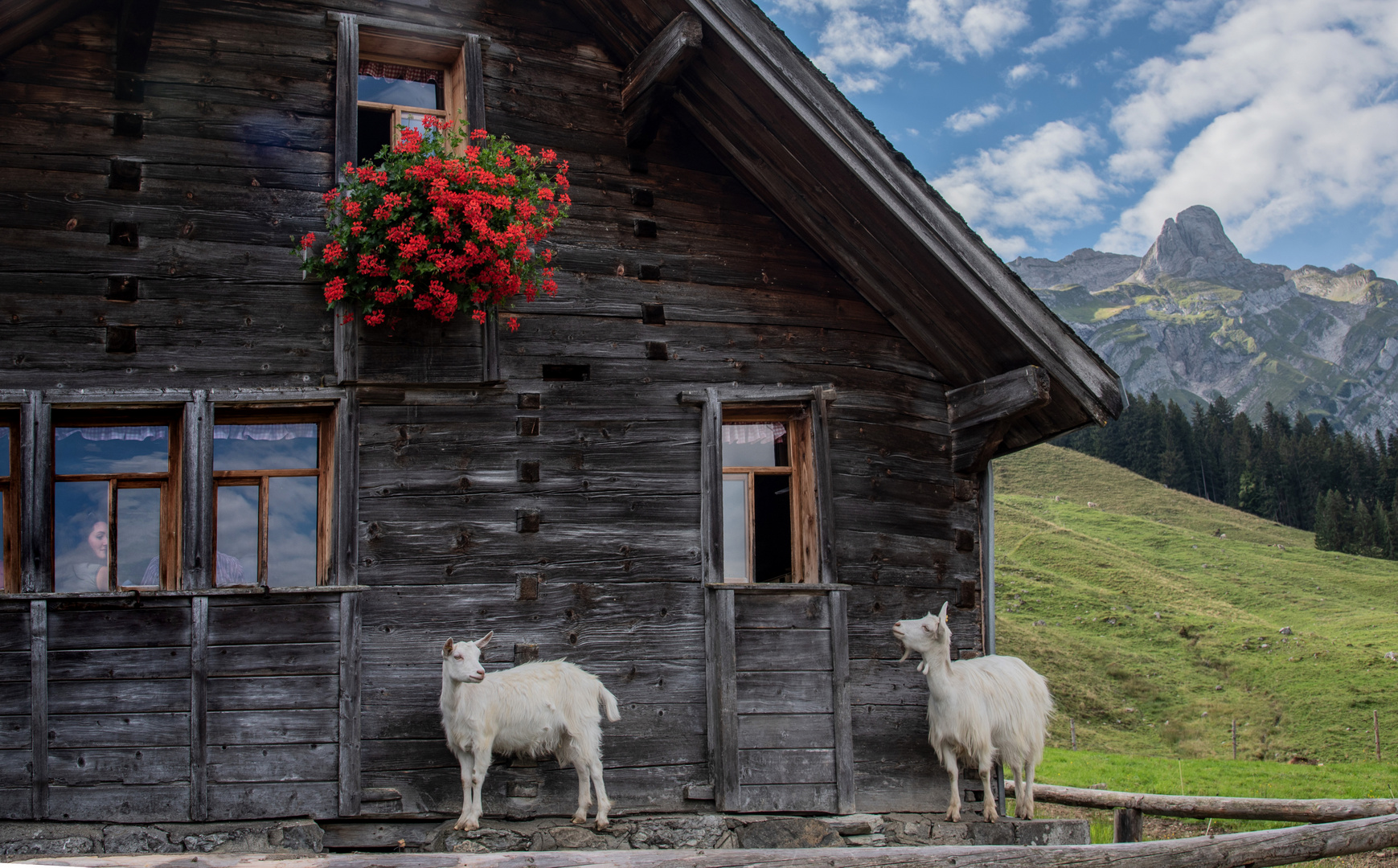 Sennhütte auf der Alp Lehmen